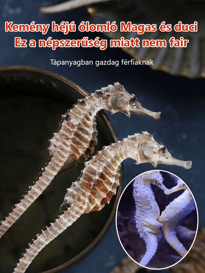 Erősítő kapszula csikóhalak számára