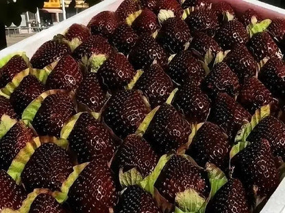 Óriás fekete gyémánt epermagok – Édes, tápanyagban gazdag és könnyen termeszthető otthon